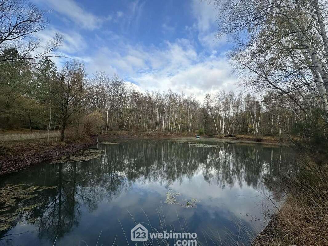 Les amateurs de pêche seront conquis par cet étang boisé - Terrain à ETOUVELLES