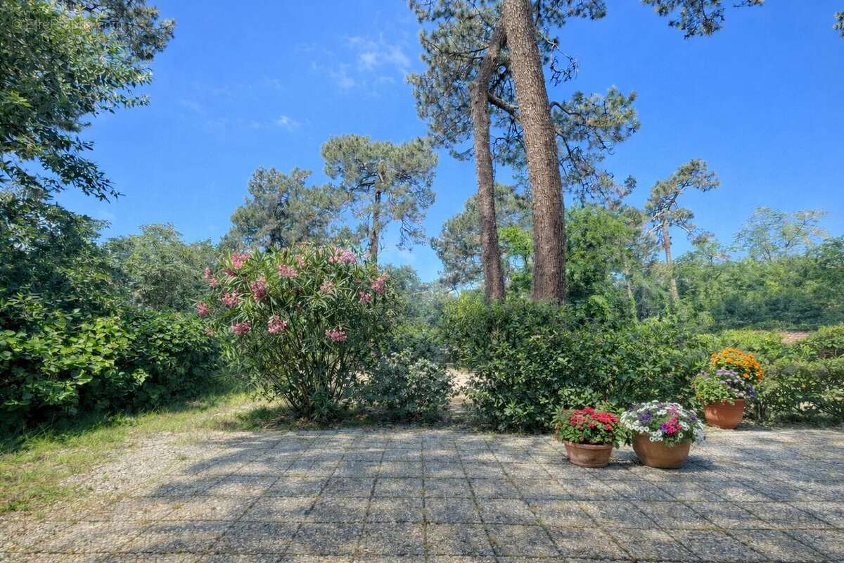 Appartement à LE BOUSCAT