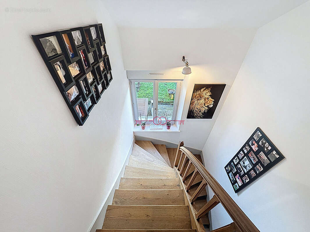 Maison à SAINTE-MENEHOULD