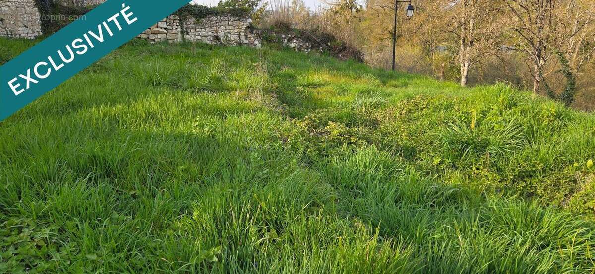 Photo 5 - Terrain à LA ROCHE-POSAY