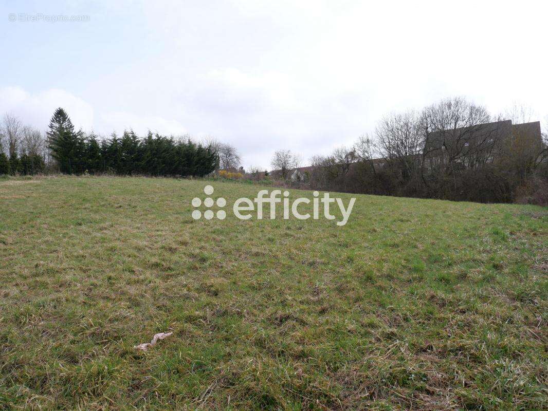 Terrain à SAINTE-GENEVIEVE