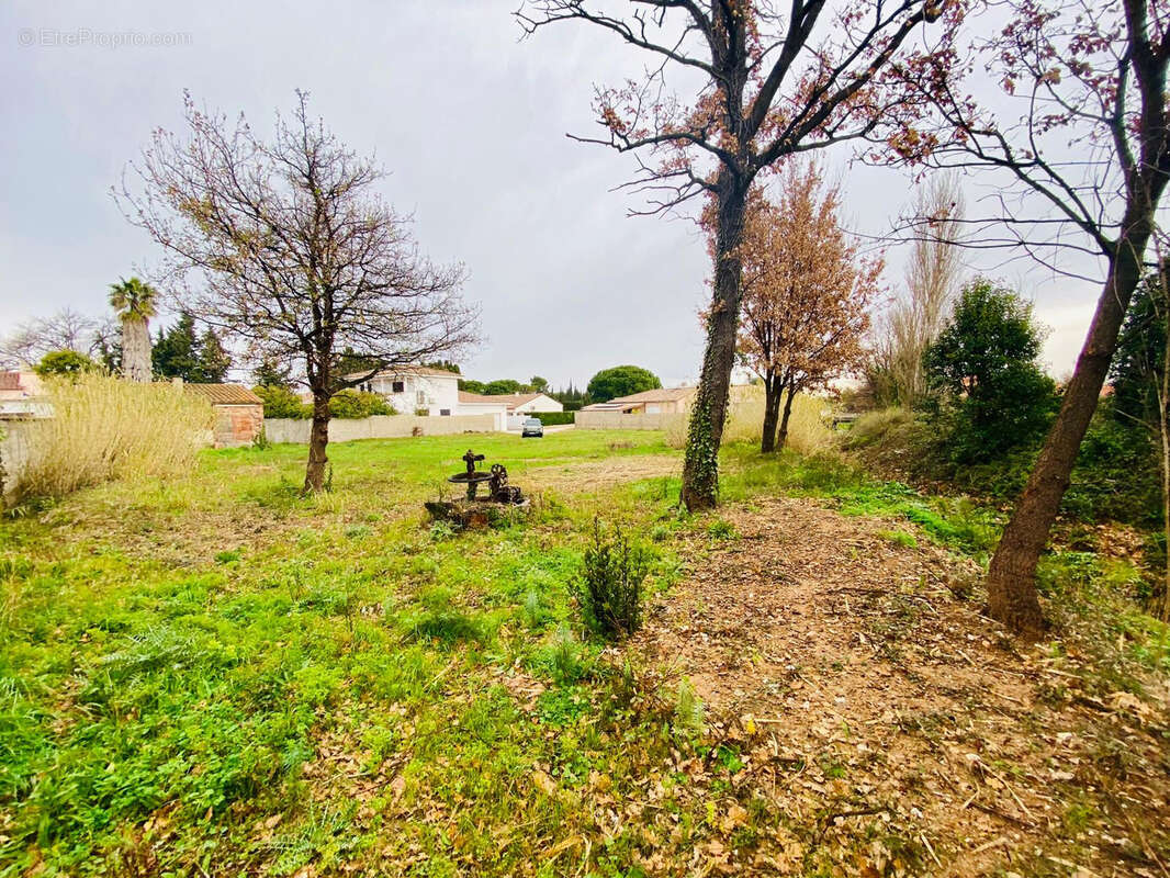 Terrain à THUIR