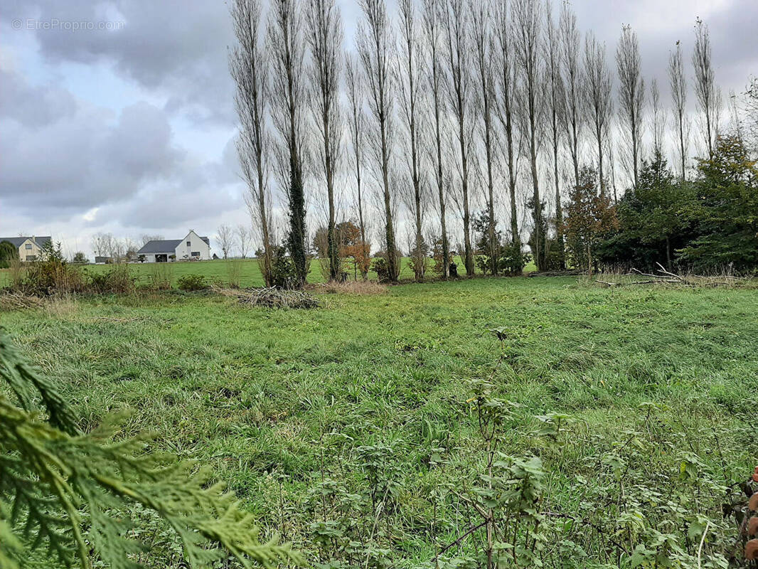 Terrain à SAINT-HILAIRE-DU-HARCOUET
