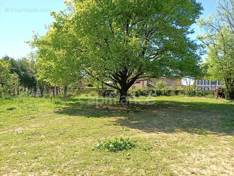 Maison à VILLECHETIVE