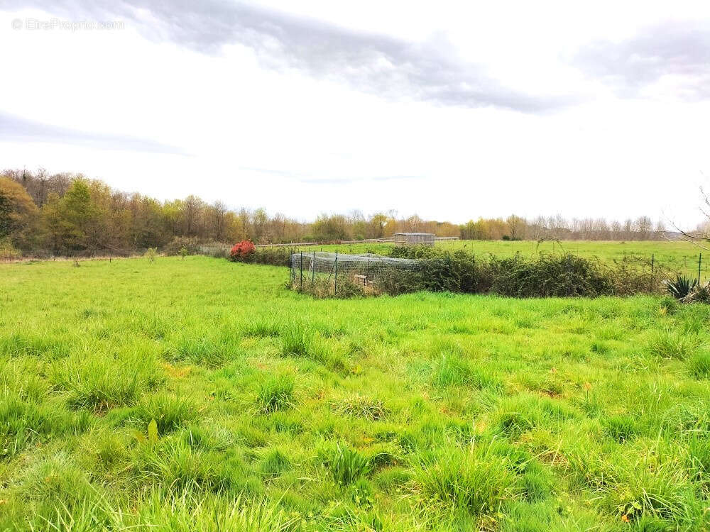 Maison à ARBLADE-LE-HAUT