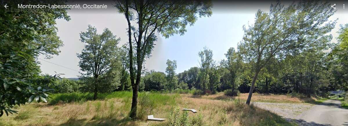 Terrain à MONTREDON-LABESSONNIE