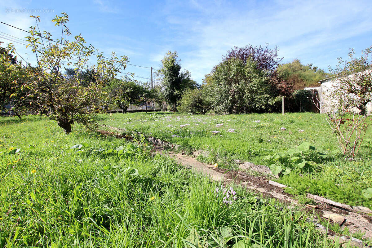 Maison à AZAY-LE-BRULE