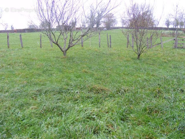 Maison à SAINT-CHRISTOPHE-EN-BRIONNAIS