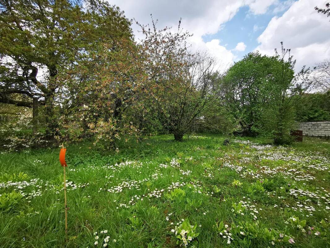 Photo 1 - Terrain à PARON