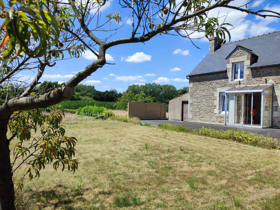 Maison à SAINT-TRIMOEL
