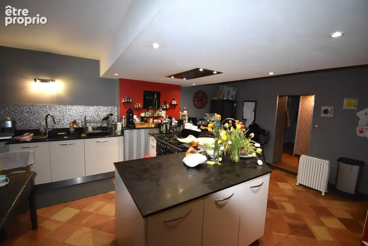 Cintegabelle (31550) - corps de ferme - 379m2 - photo 4