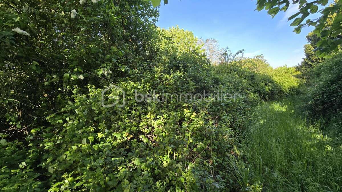 Maison à SAINT-SAUVANT