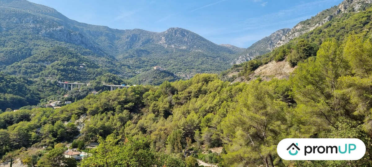 Terrain à GORBIO