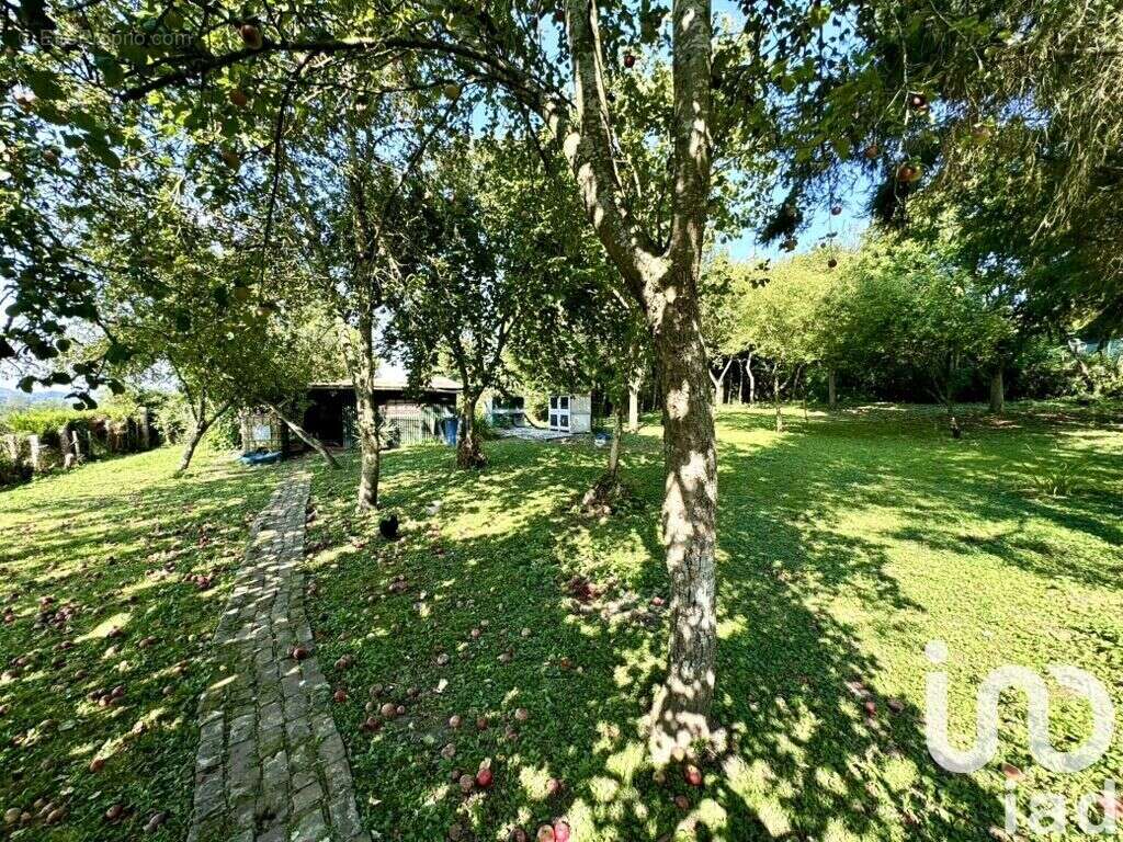 Photo 8 - Maison à TORDOUET