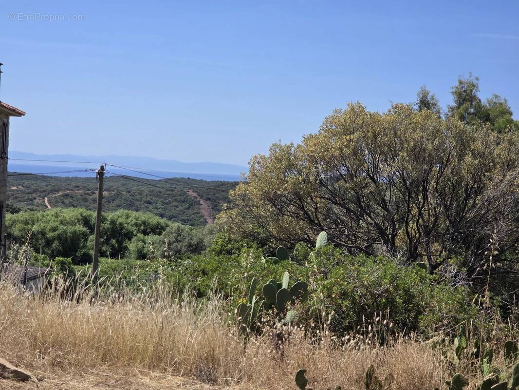 Terrain à MONACIA-D&#039;AULLENE