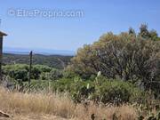 Terrain à MONACIA-D&#039;AULLENE