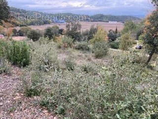 Terrain à FLASSANS-SUR-ISSOLE