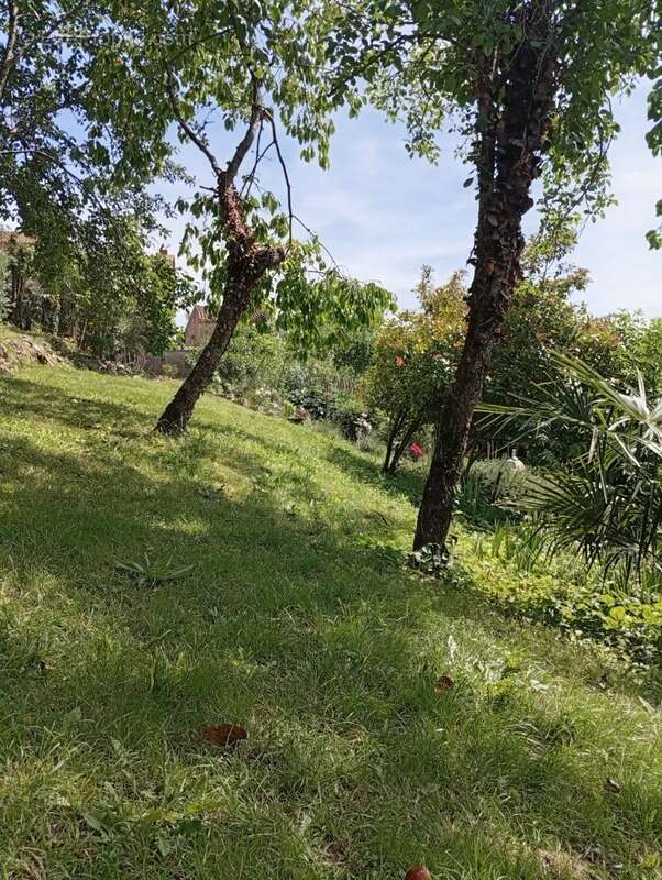 Maison à SAINT-JEAN-DU-FALGA