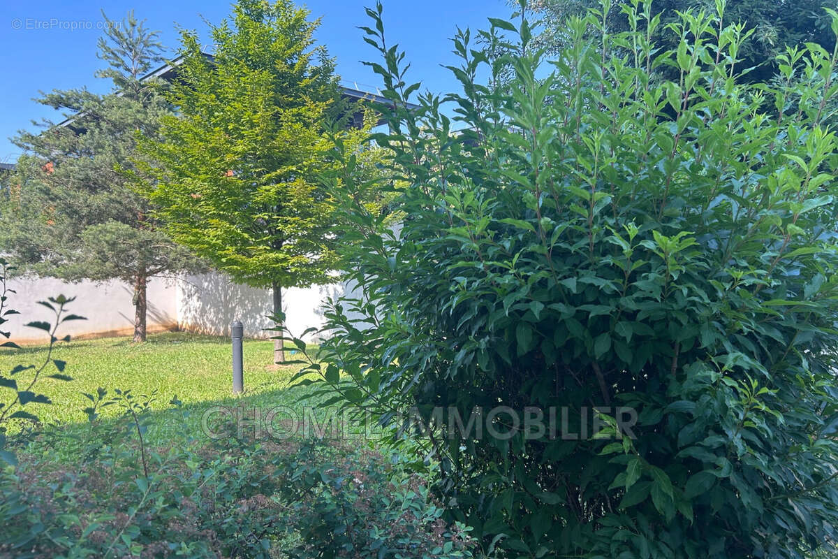 Appartement 55 m² à Lyon-8e  - photo 2