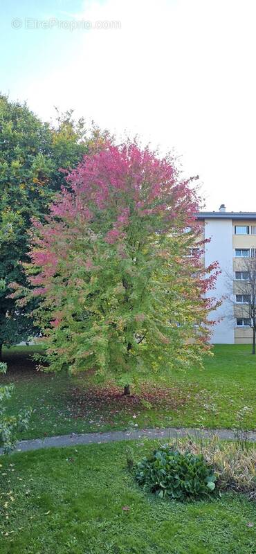 Appartement à LA MOTTE-SERVOLEX