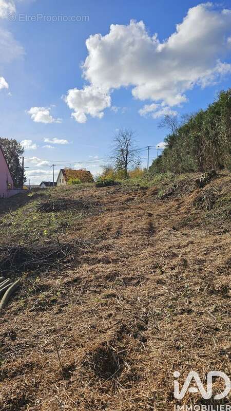 Photo 4 - Terrain à LUNEVILLE