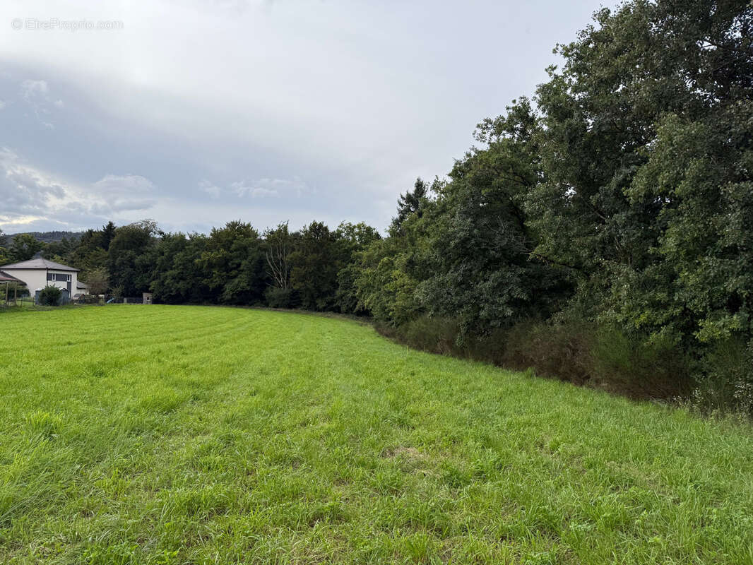 Terrain à SAINT-ETIENNE-LES-REMIREMONT