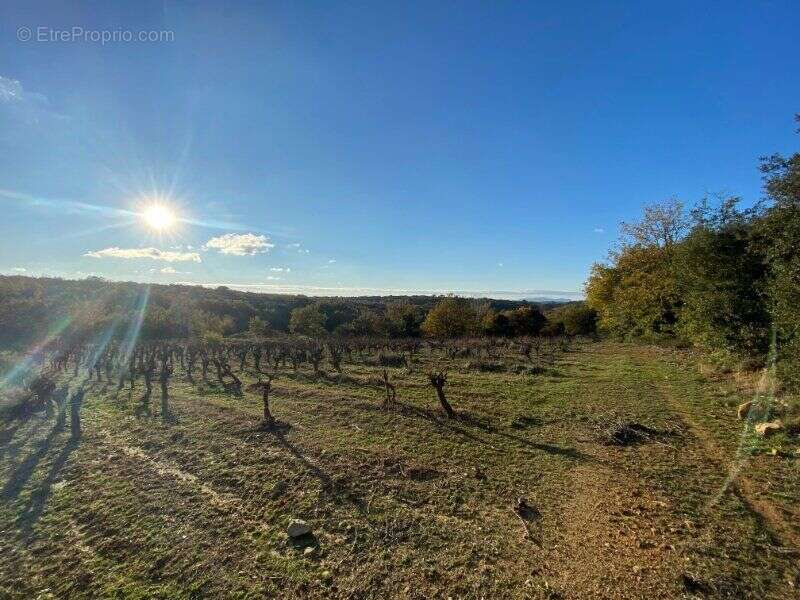 Photo 5 - Terrain à LE PIN