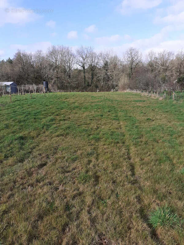 Terrain à TALMONT-SAINT-HILAIRE