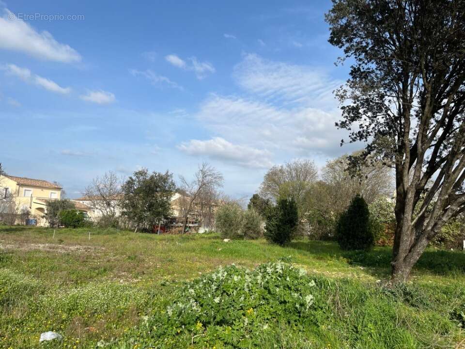 Terrain à BOLLENE