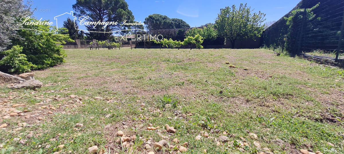 Terrain à SORGUES