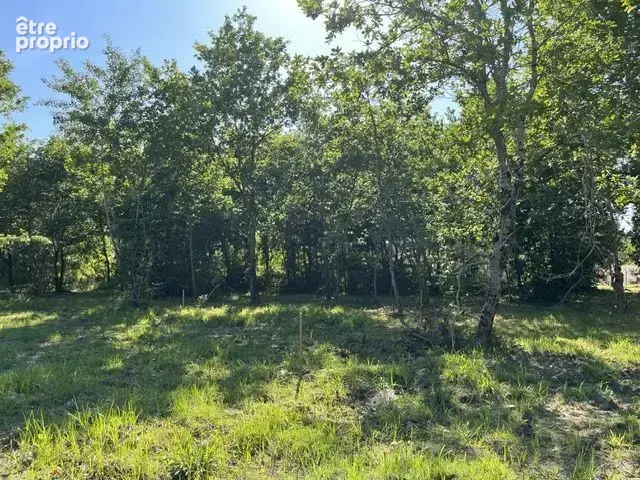 Terrain à bâtir de 700 m² à LE TEICH (33) - photo 2