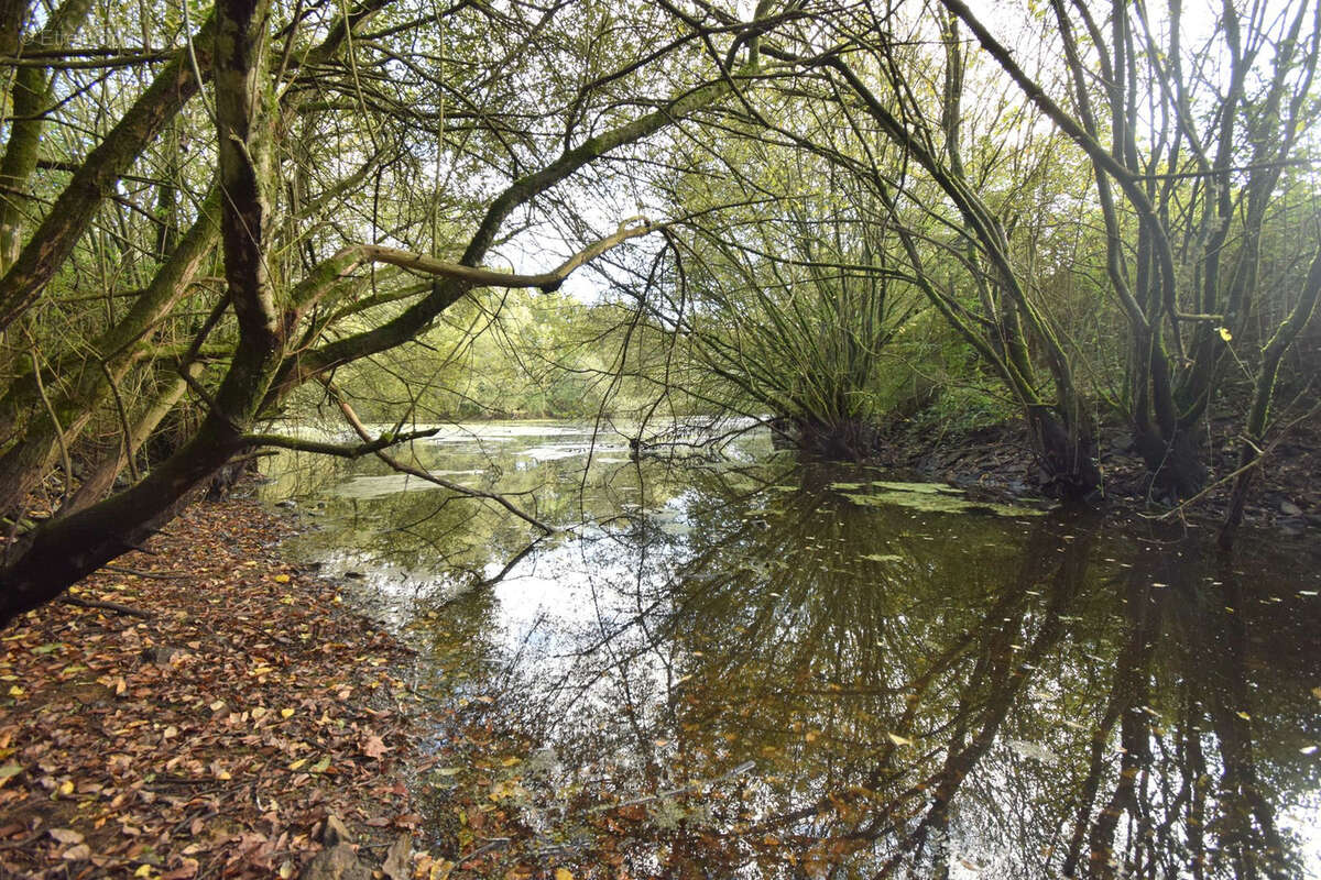 Terrain de loisir - photo 4