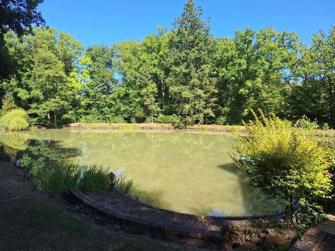 Maison à SAVIGNY-EN-SANCERRE