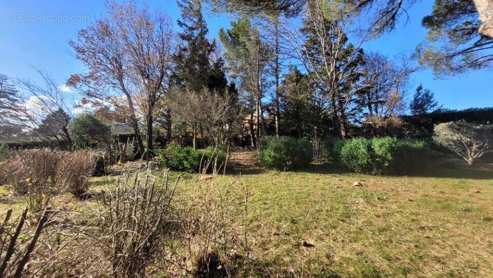 Terrain à MONTELIMAR