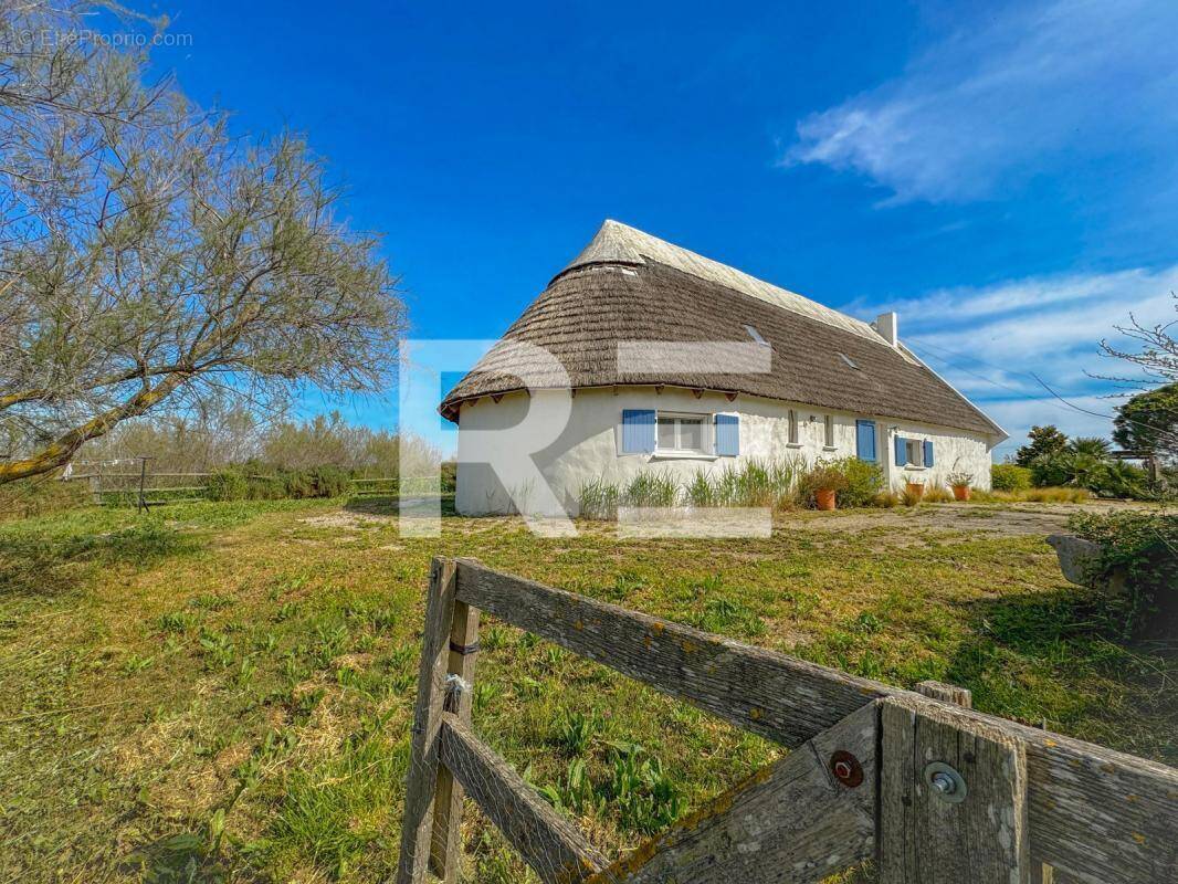 Maison à BELLEGARDE