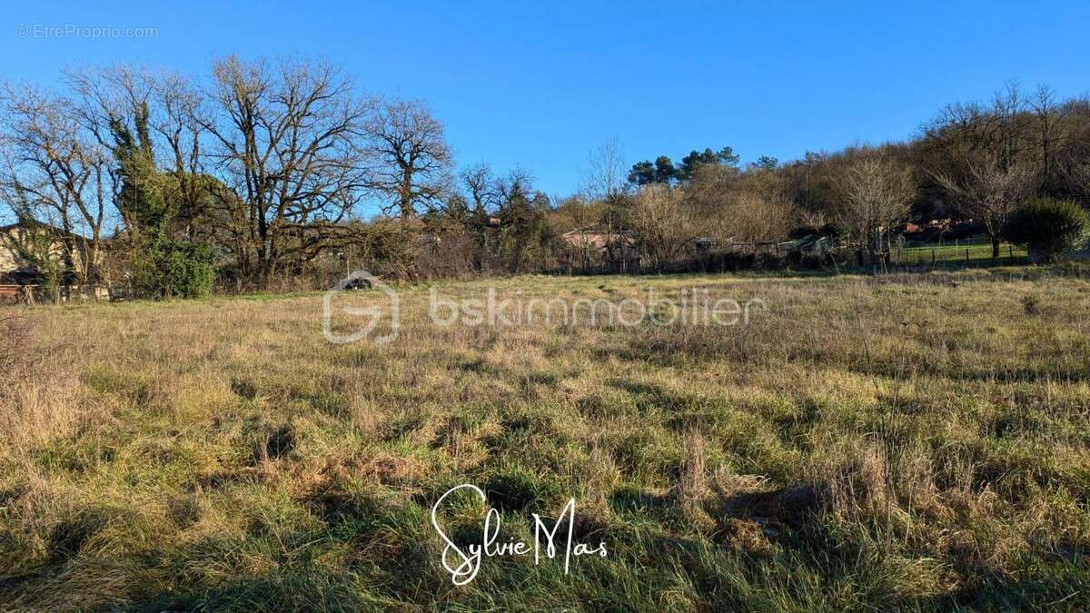 Terrain à SAINT-FRONT-SUR-LEMANCE