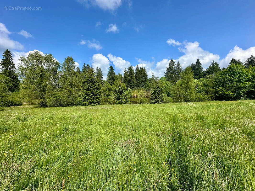 Maison à RAMONCHAMP