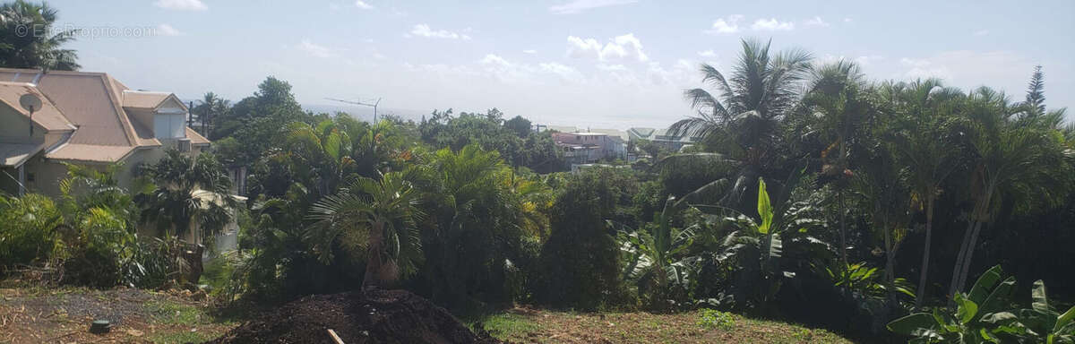 Terrain à LE GOSIER