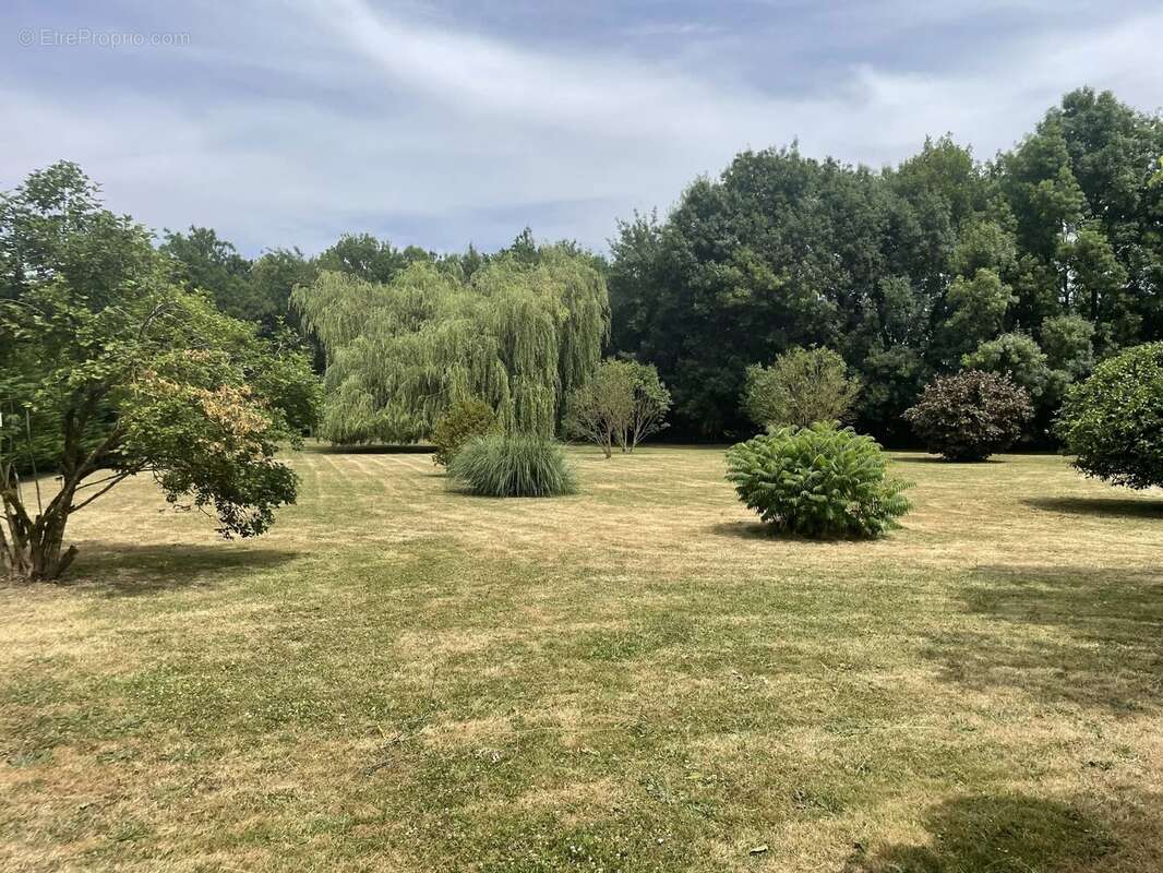 Belle maison pleine de possibilités - photo 21