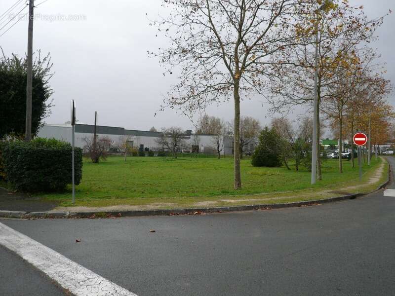 Terrain à CHATEAUBERNARD
