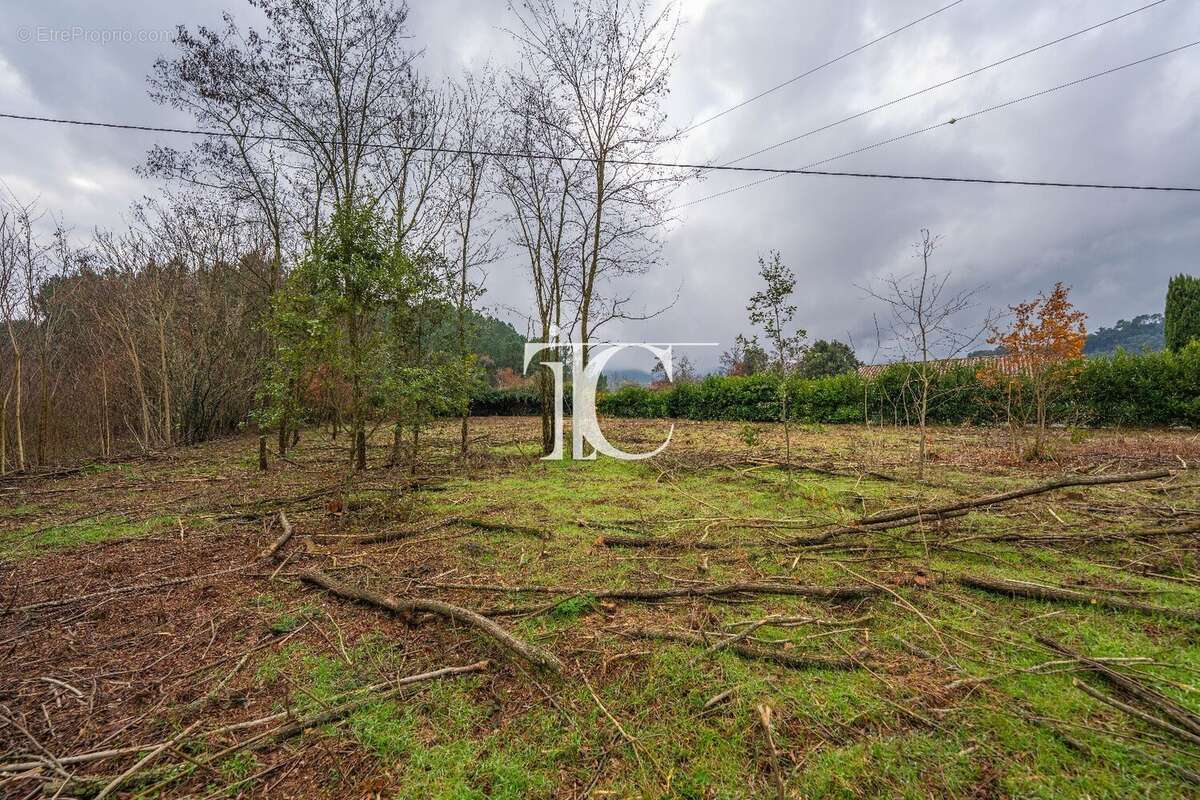 Terrain à CHAMBONAS