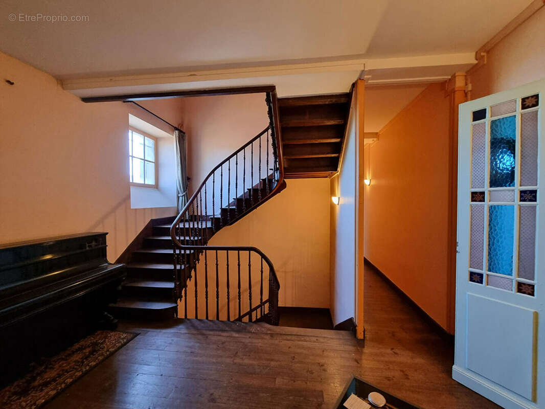 Maison de Maître Maubourguet centre 8 pièces 355 m² - photo 13