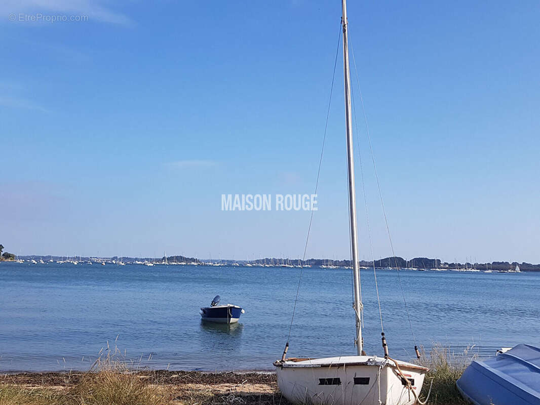 Terrain  de 3000 m2 à 50m du Golfe du Morbihan. - photo 4