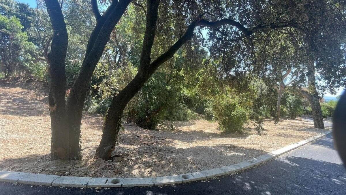 Photo 1 - Terrain à VILLENEUVE-LES-AVIGNON