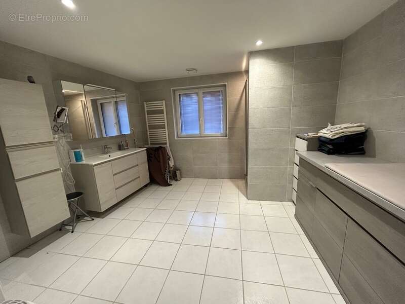 Maison à BRISON-SAINT-INNOCENT