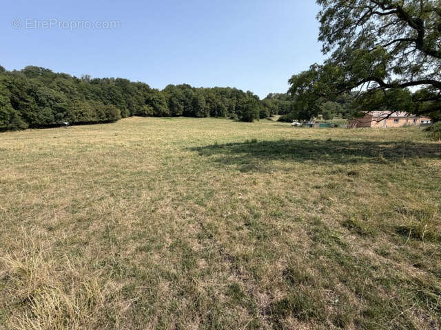 Grand terrain de 17 698 M2 avec partie constructible de 1549 M2 - photo 6