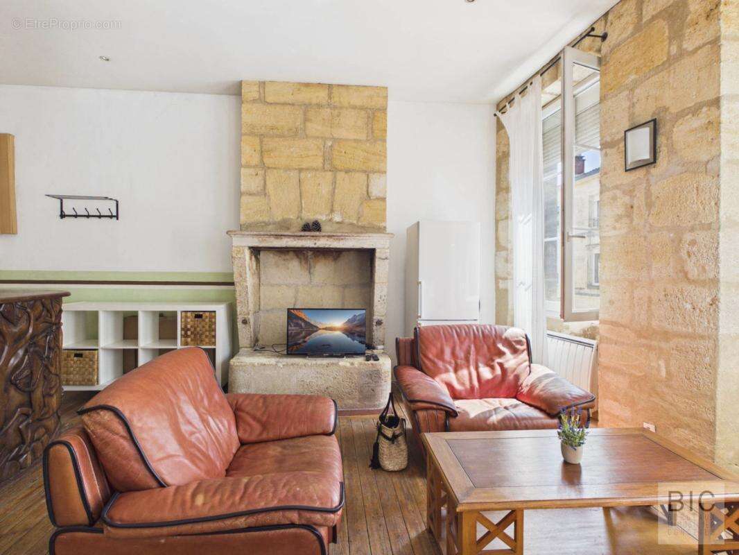 A  vendre grand T2 bis meublé - photo 3