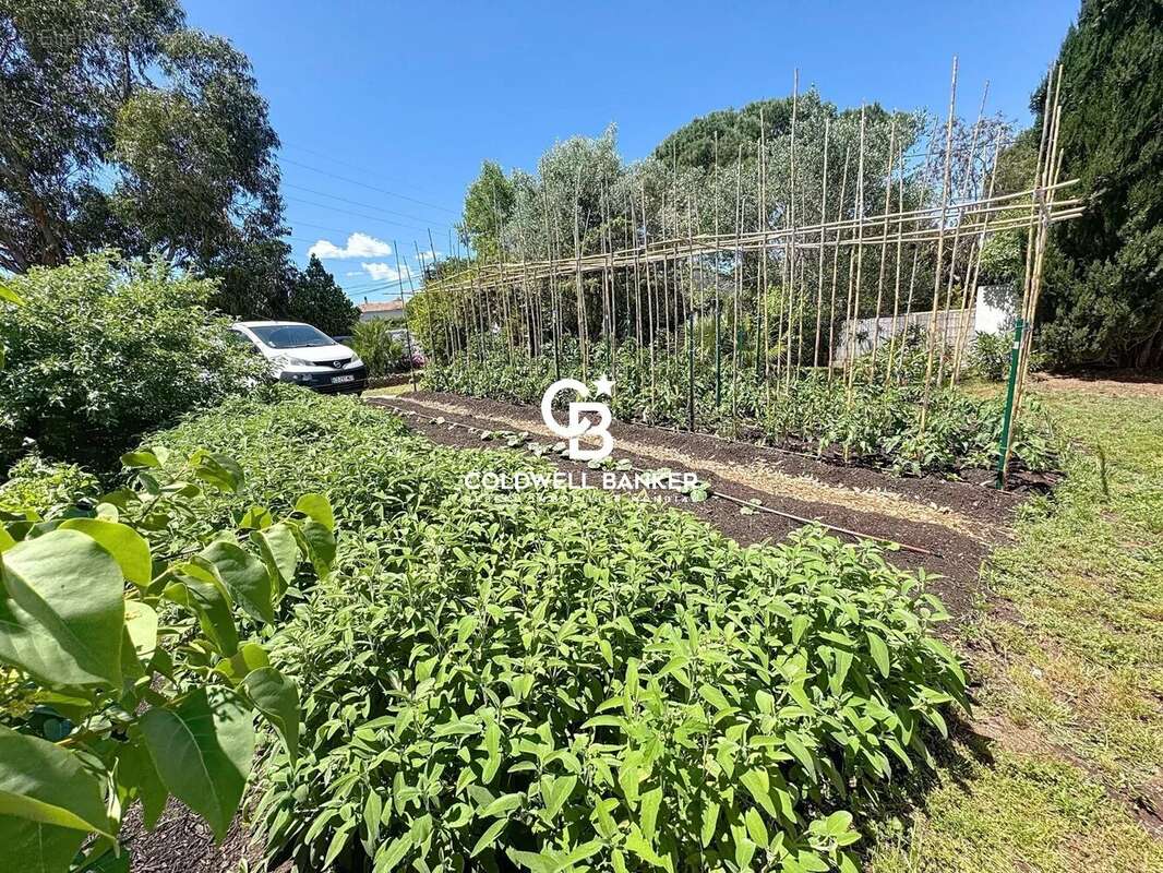Maison à PUGET-SUR-ARGENS