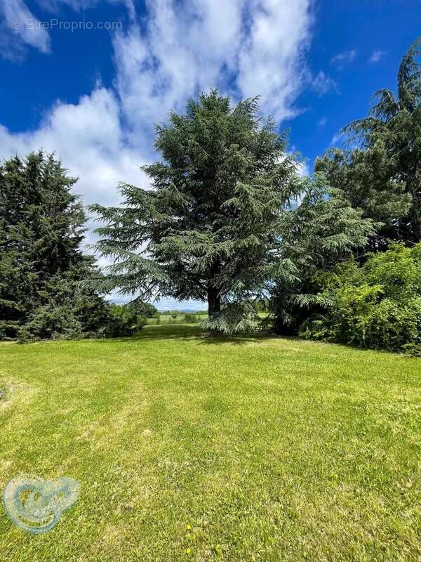 Appartement à SAINT-TRINIT