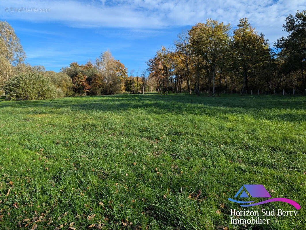 Terrain - Terrain à LE CHATELET